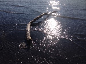 Taupo - Mt Egmont-033